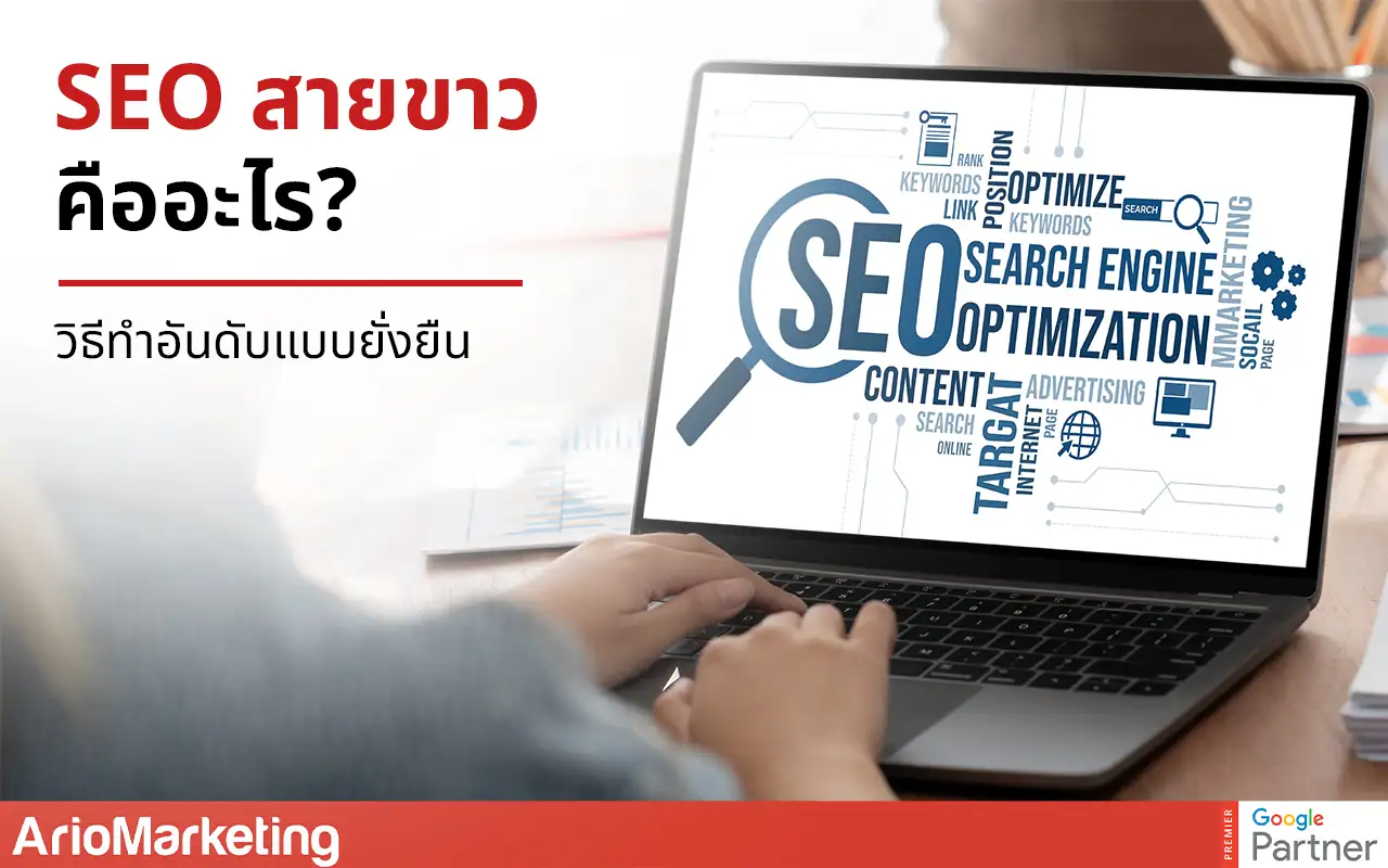 SEO สายขาวคืออะไร วิธีทำอันดับแบบยั่งยืน