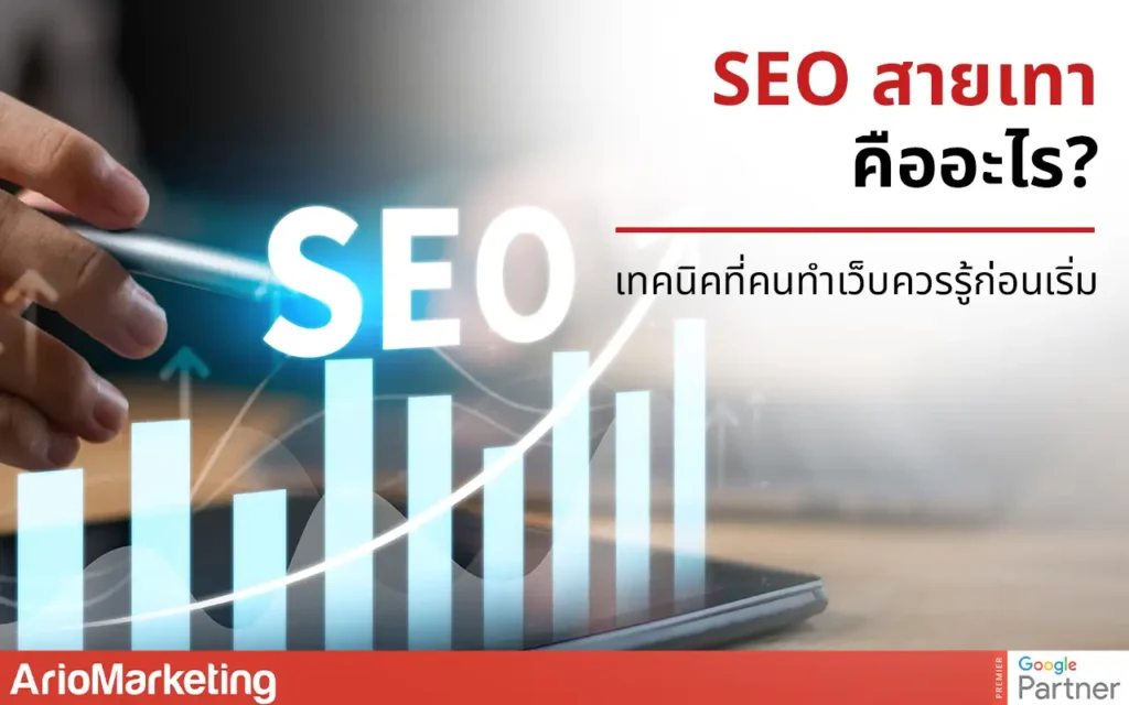SEO สายเทาคืออะไร? เทคนิคที่คนทำ SEO ควรรู้ก่อนเริ่มทำ