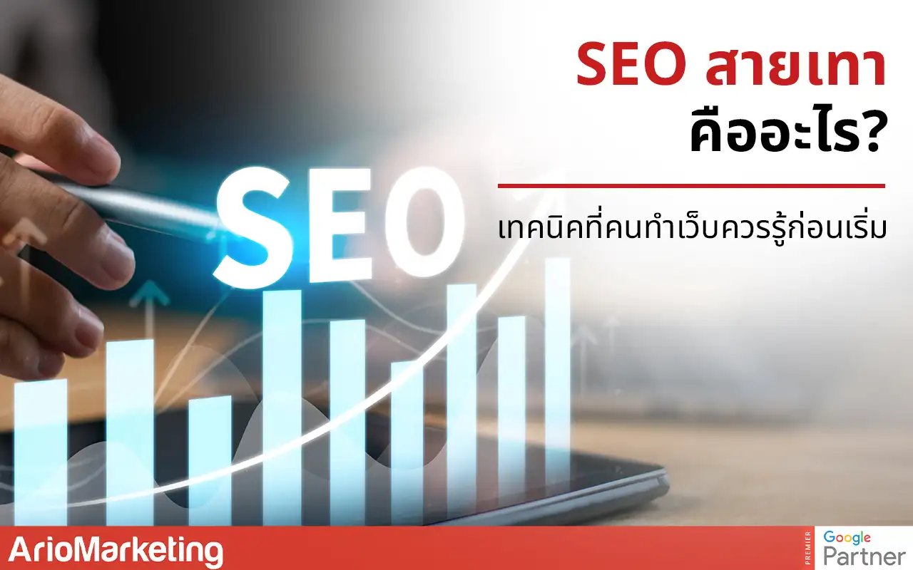 SEO สายเทาคืออะไร? เทคนิคที่คนทำ SEO ควรรู้ก่อนเริ่มทำ